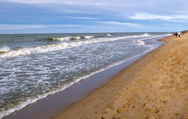 Национальный парк «Куршская коса»: песчаный рай между морем и заливом